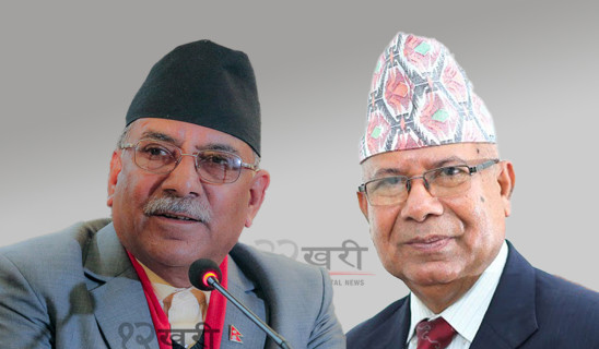 प्रधानमन्त्रीसित एकीकृत समाजवादीका अध्यक्ष नेपालसहितका नेताहरूको भेट